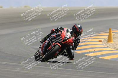 media/May-14-2023-SoCal Trackdays (Sun) [[024eb53b40]]/Turn 12 (1145am)/